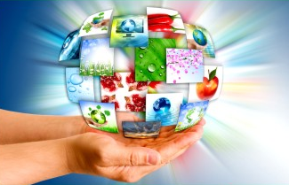 Diploma In Web Designing (DWD)